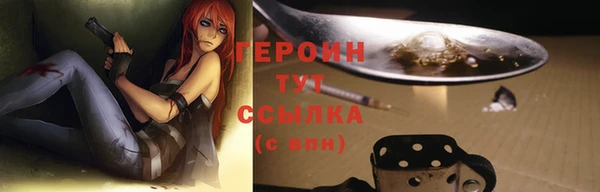 трава Новозыбков