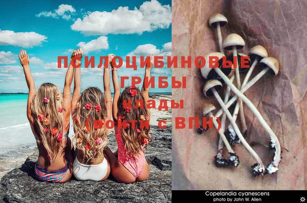 прущий лед Алексеевка
